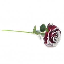 ROSA BORDEAUX INNEVATA...