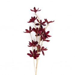 RAMO CAMELIA ROSSA GAMBO...