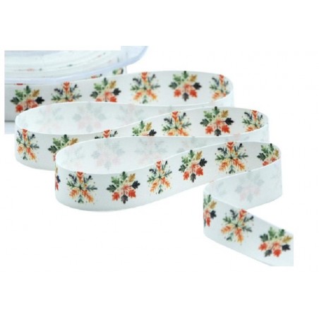 NASTRO RASO SETA mm15x15mt STAMPA COLOR [2710003-00.jpg]