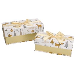 SET 2 SCATOLE CARTONE...