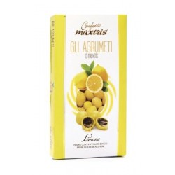 MAXTRIS AGRUMETI AL LIMONE 500g [0151017-00.jpg]