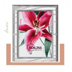 ---CORNICE ARGENTO 13x18 DENVER + SPECCH [0124910-00.jpg]