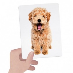 ---HEADU FLASHCARDS TACTILE MONTESSORI [0250054-10.jpg]