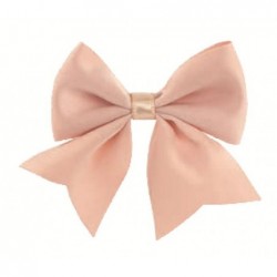 FIOCCO RASO ROSA mm60x70 CON ADESIVO [SC100144-00.jpg]