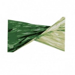 POLYSILK BICOLOR-ROLLcm100mt20 VEc/VEs [2629309-00.jpg]
