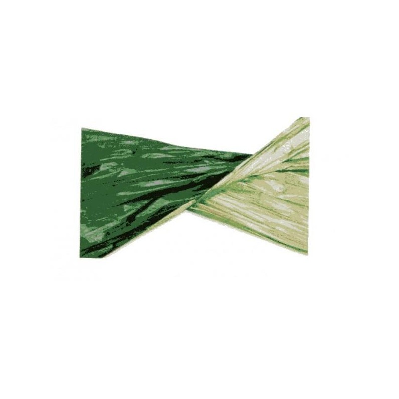 POLYSILK BICOLOR-ROLLcm100mt20 VEc/VEs [2629309-00.jpg]