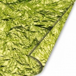POLYSILK ROLL cm100mt20 VERDElime [2629291-00.jpg]