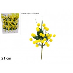RAMETTO MIMOSA  20cm