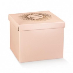 ---SCATOLA F/C SPOT CIPRIA 300x300x240 [TONO38983-00.jpg]