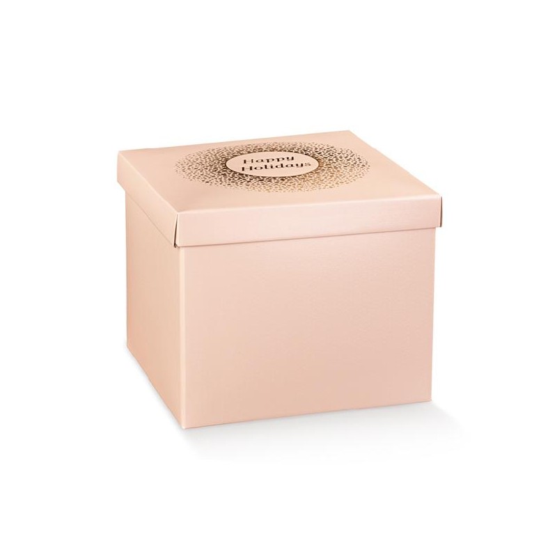 ---SCATOLA F/C SPOT CIPRIA 300x300x240 [TONO38983-00.jpg]