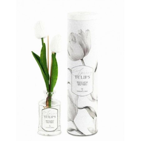 DIFFUSORE TULIPANI BIANCHI 100ml h12cm CON SCATOLA [TONO200369-00.jpg]