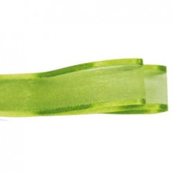 ORGANZA SATIN mm6x100mt VERDE CHIARO [2709893-00.jpg]