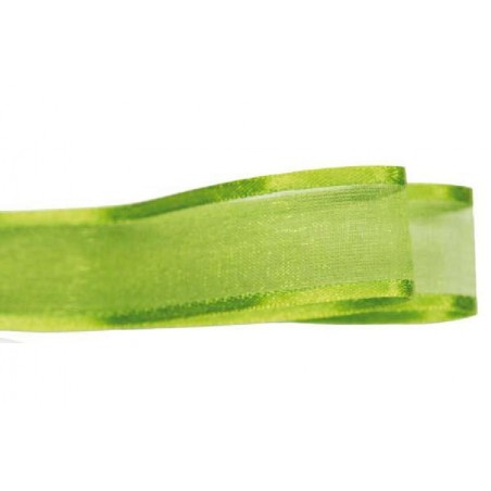 ORGANZA SATIN mm6x100mt VERDE CHIARO [2709893-00.jpg]
