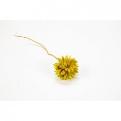APPLICAZIONE FIORE DALIA ORO 3cm [0142116-00.jpg]