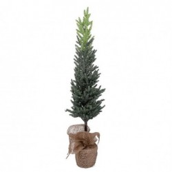 ABETE PICCOLO GHIACCIATO 75cm BASE JUTA [9010183-20.jpg]