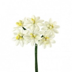 72 MARGHERITE grandi RASO BIANCHE [0141235-00.jpg]