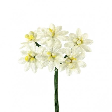 72 MARGHERITE grandi RASO BIANCHE [0141235-00.jpg]