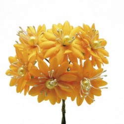 72 MARGHERITE grandi RASO GIALLOsc [0141236-00.jpg]