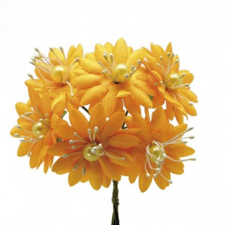 72 MARGHERITE grandi RASO GIALLOsc [0141236-00.jpg]