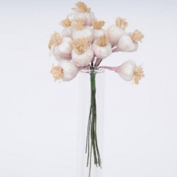 APPLICAZIONE AGLIO BIANCO -36pz [0141245-00.jpg]