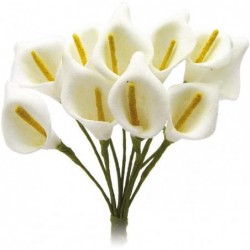 ---120 CALLA POLIFOAM MEDIA AVORIO [0141248-00.jpg]