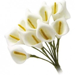 ---120 CALLA POLIFOAM MEDIA AVORIO [0141248-20.jpg]