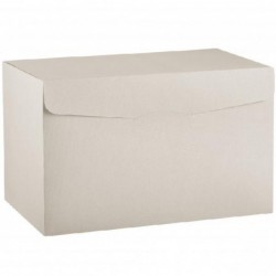 ---SCATOLA SEGRETO 460x320x290 BIANCA [TONO67095-00.jpg]