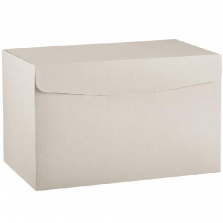 ---SCATOLA SEGRETO 460x320x290 BIANCA [TONO67095-00.jpg]