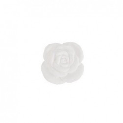 ROSA SELVATICA MARMO [0141809-00.jpg]