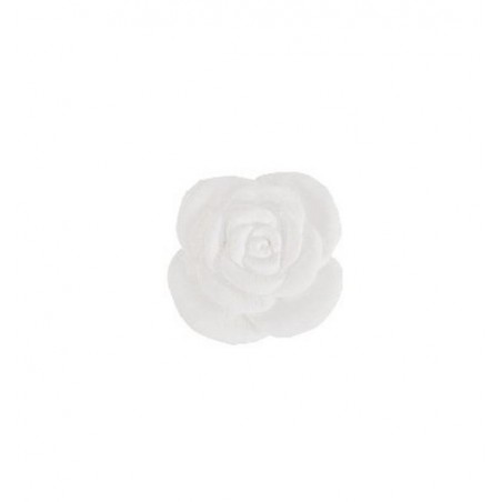 ROSA SELVATICA MARMO [0141809-00.jpg]