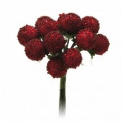 ---72 MORE ROSSE [0142035-00.jpg]