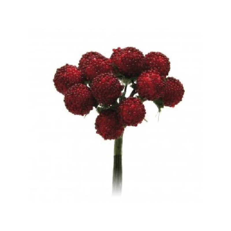 ---72 MORE ROSSE [0142035-00.jpg]