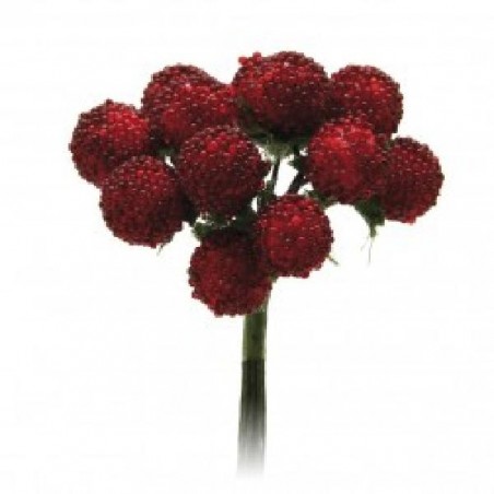 ---72 MORE ROSSE [0142035-00.jpg]