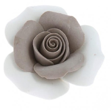 ROSA PETALI BICOLORE d5,5 TORTORA/BIA [0142147-00.jpg]
