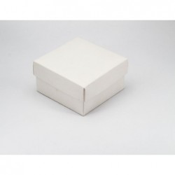 ---SCATOLA F/C cm6x6x3 AVORIO [0142060-00.jpg]