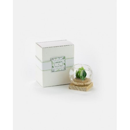 ---SFERA  PICCOLA CON CANDELA cm7 [0142242-00.jpg]