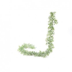 ---TRALCIO EDERA 180cm [9020138-00.jpg]