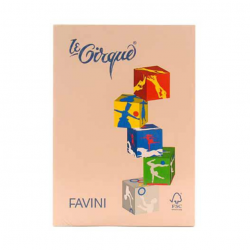 CARTA LECIRQUE A4 gr80...