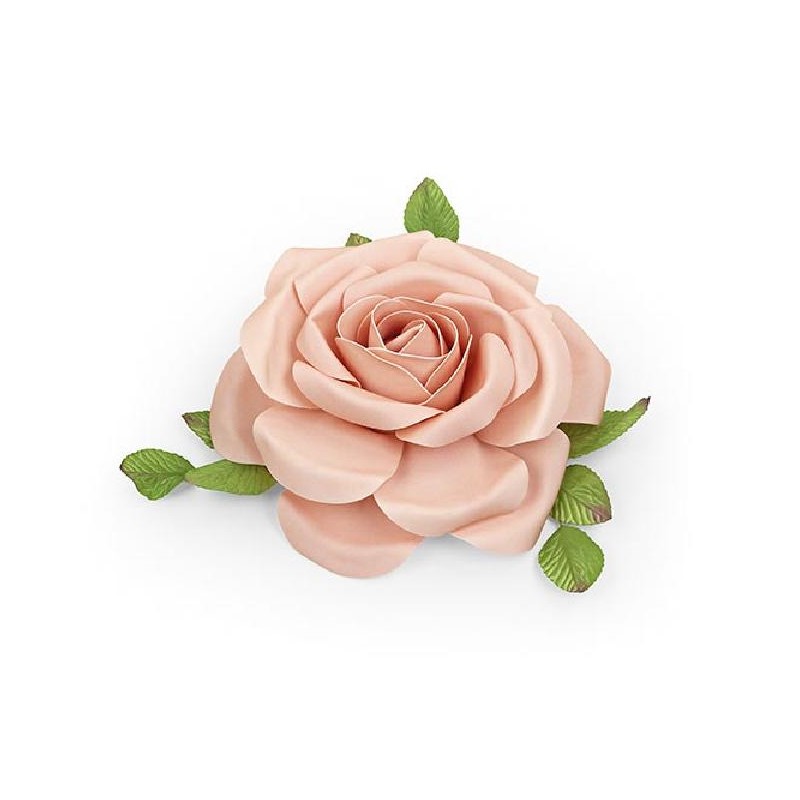 ---ROSA ROSA DA APPOGGIO d300mm [TONO29024-00.jpg]