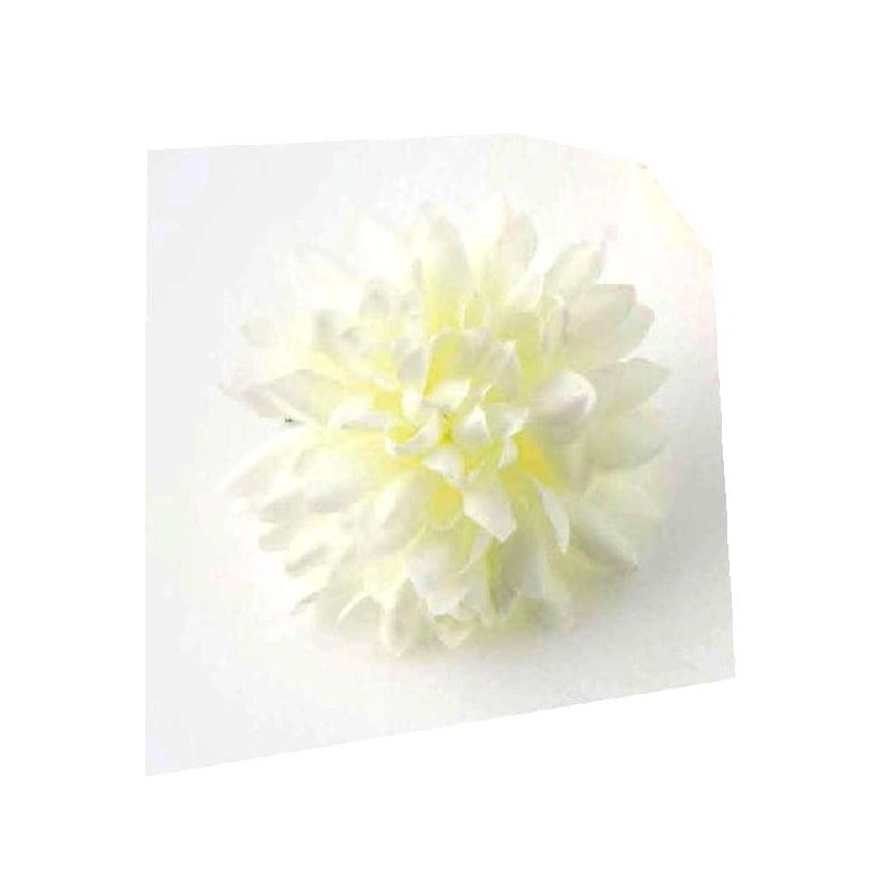 DALIA PICCOLA d5 AVORIO [0147002-00.jpg]