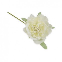 ---FIORE MEDIO CON PISTILLI PANNA [0142558-00.jpg]