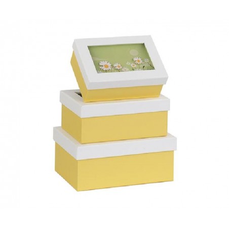 SET 3 SCATOLE BIANCHE/GIALLE MARGHERITE [TONO20940-00.jpg]