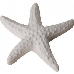 ---GESSETTO BIANCO STELLA MARINA 4cm [0130505-00.jpg]