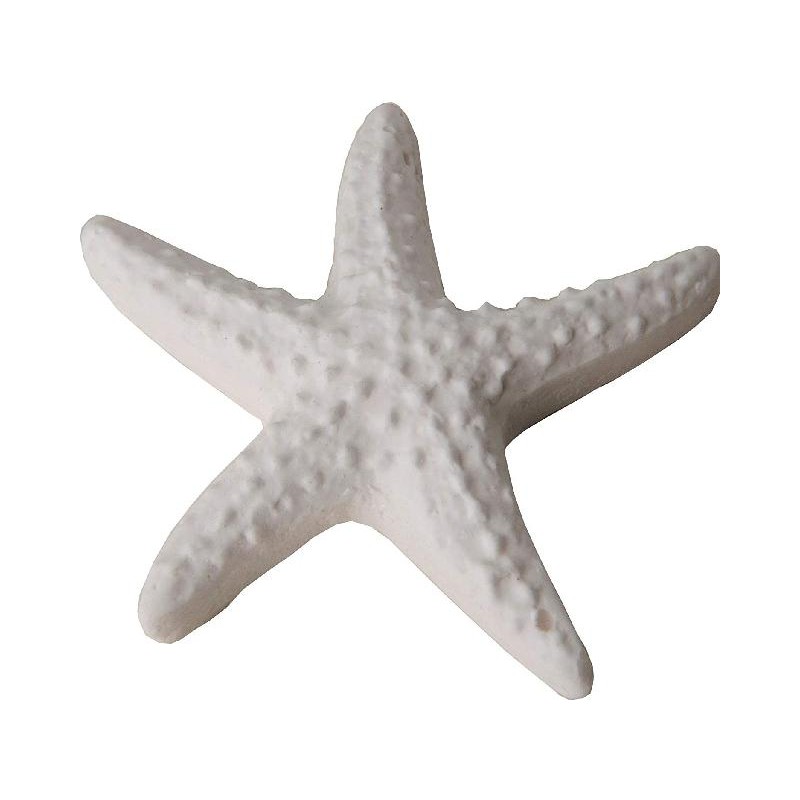 ---GESSETTO BIANCO STELLA MARINA 4cm [0130505-00.jpg]