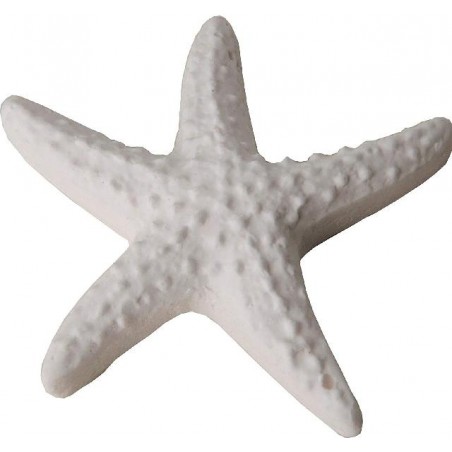 ---GESSETTO BIANCO STELLA MARINA 4cm [0130505-00.jpg]