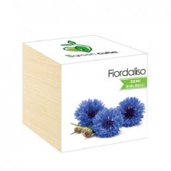 ---IGREEN CUBE LEGNO 75mm PIANTINA [0142419-00.jpg]