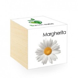 ---IGREEN CUBE LEGNO 75mm PIANTINA [0142419-10.jpg]