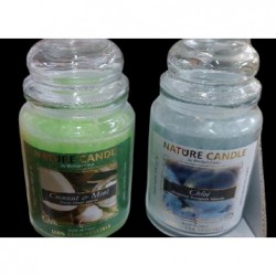 NATURE CANDLE BARATTOLO 580gr [0711020-00.jpg]