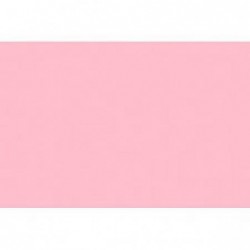 ---CARTA CRESPA gr60-ROSAch-201 [0510084-00.jpg]