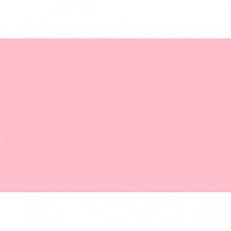 ---CARTA CRESPA gr60-ROSAch-201 [0510084-00.jpg]